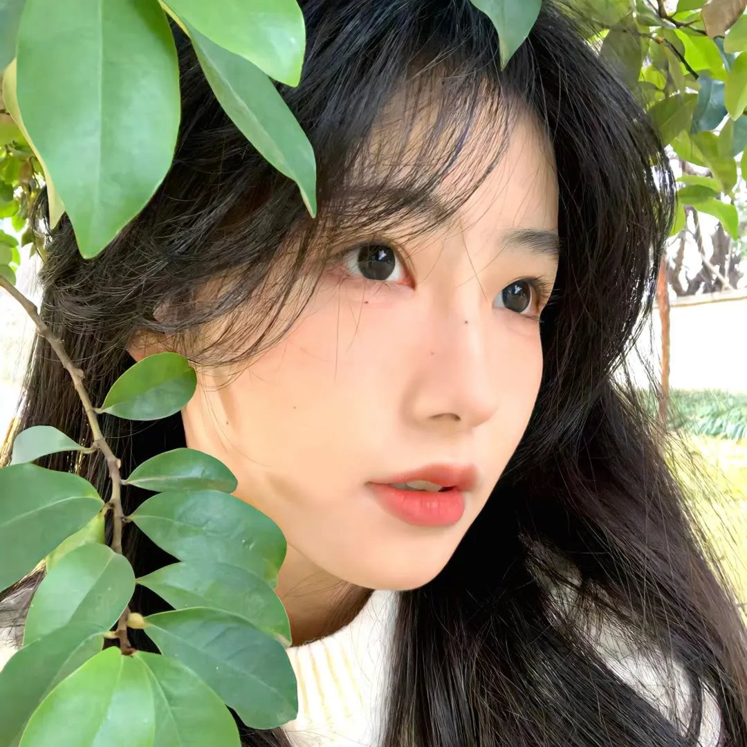 暗之伴走者